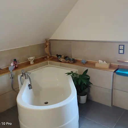 Alte Oelmuehle, Spaeter Schaefershaus * Donaueschingen