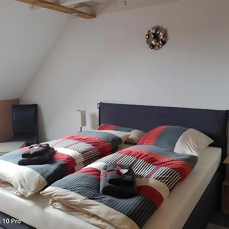 Alte Oelmuehle, Spaeter Schaefershaus * 도나우에싱겐